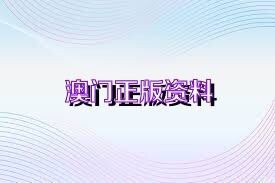 澳门资料大全概览，展望2025年