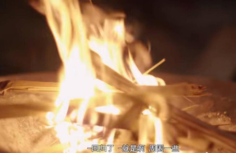 揭秘2025一码一肖，探寻精准预测之道