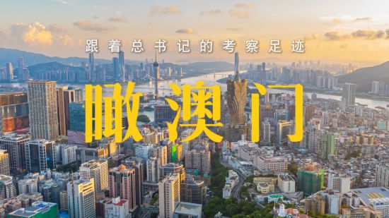 澳门未来展望，2025年的澳门资料概览