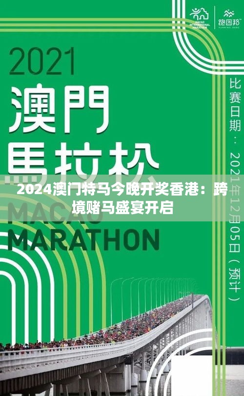 探索澳门，2025年的特马之夜