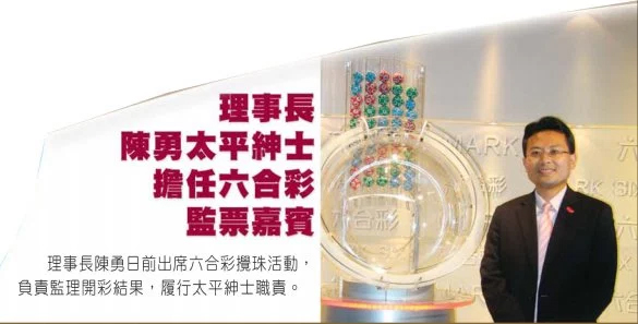 香港今晚开奖记录，探索彩票背后的故事与未来展望
