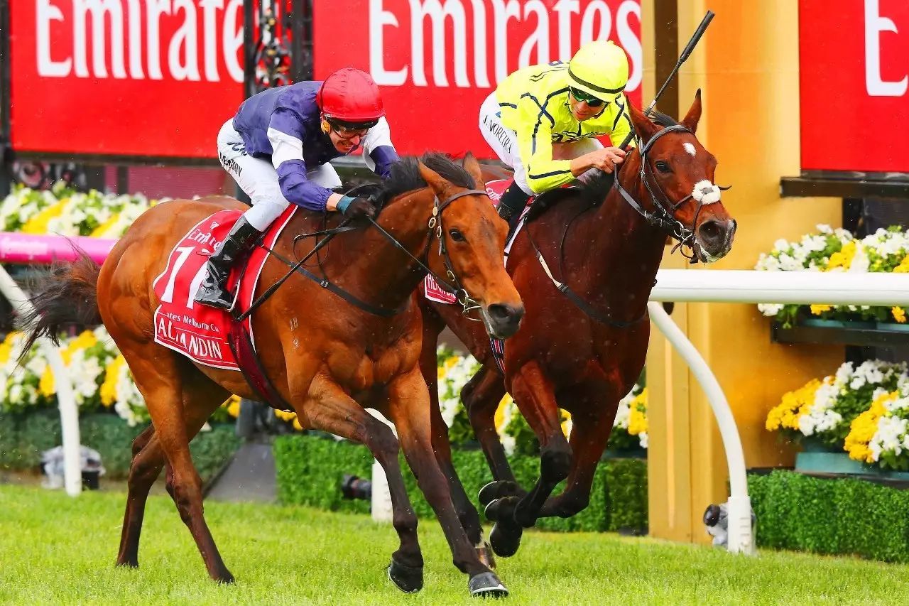 香港赛马文化，探索未来的赛马盛宴与特马之夜（2025香港今晚开特马）
