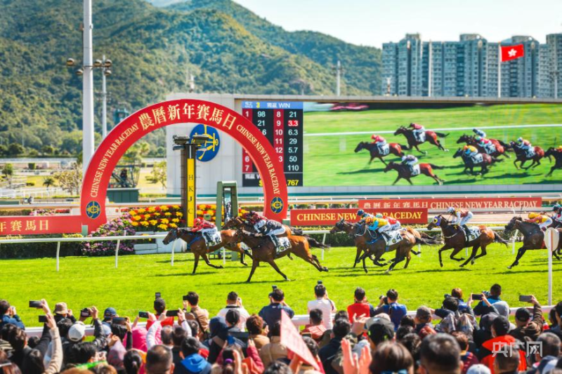探索香港马会彩票，预测与未来展望