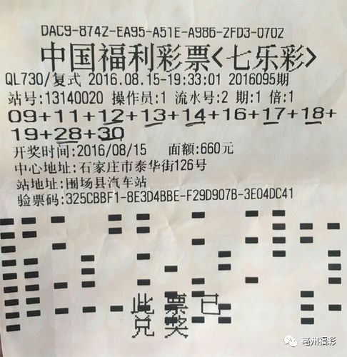探索彩票世界，揭秘最快开奖的神秘数字组合 494949 与 494958