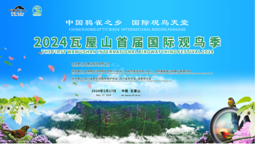 探索最新澳彩资讯，626969澳彩资料大全 2025新篇章