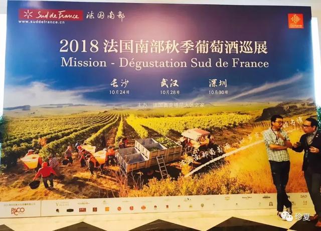 澳门资料大全版，探索626969的魅力与奥秘