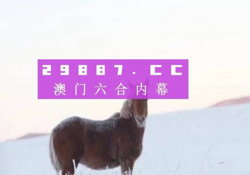 香港王中王，传奇背后的故事与数字77777与88888的魔力