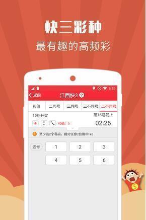 澳门论坛资料大全 2025版，探索84与995的交汇点
