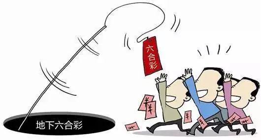 香港恃码开奖结果，探索数字背后的故事与启示