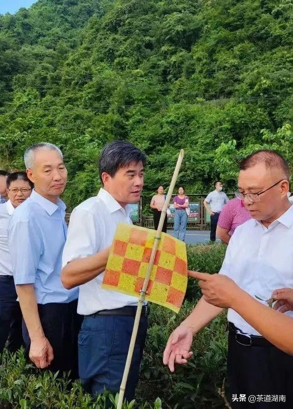探究黄金价格走势，黄金在2022年会降至300元吗？