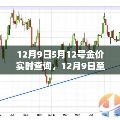 实时金价查看指南，掌握黄金价格的最新动态