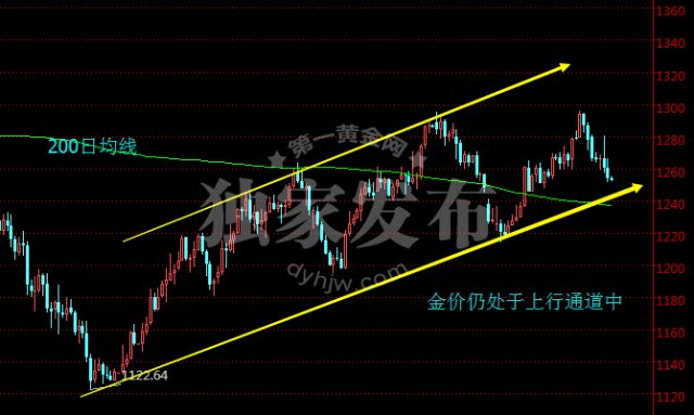 黄金价格今日走势及市场洞察
