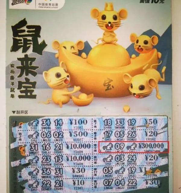 探索三D之家彩票，梦想与现实交织的奇幻世界
