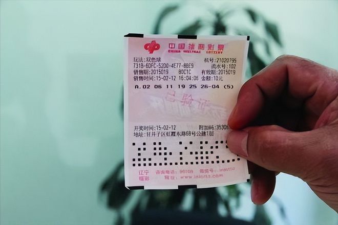 彩票福利彩票中奖查询，梦想与希望交织的幸运之旅