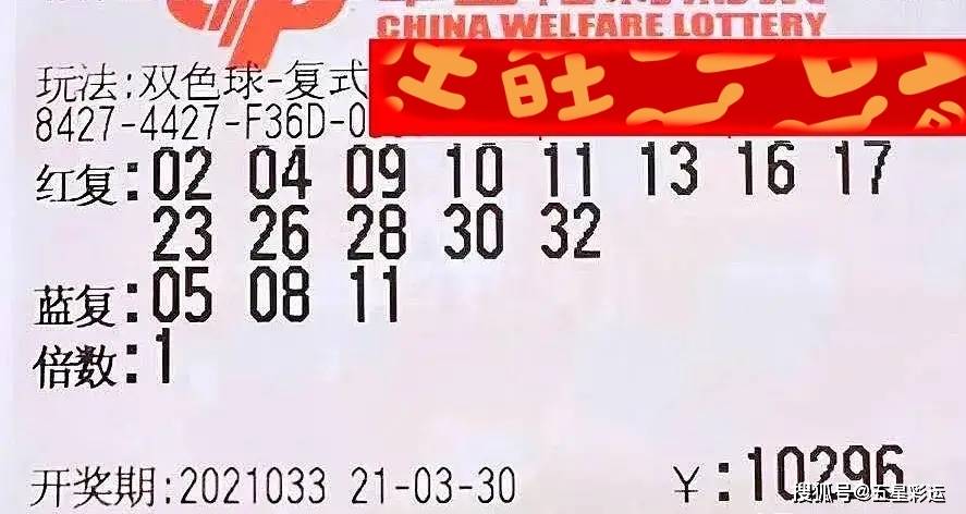 双色球24004期晒票来袭，彩民们的期待与激情