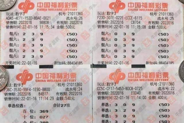 广东3D开奖结果，探索彩票的魅力与期待