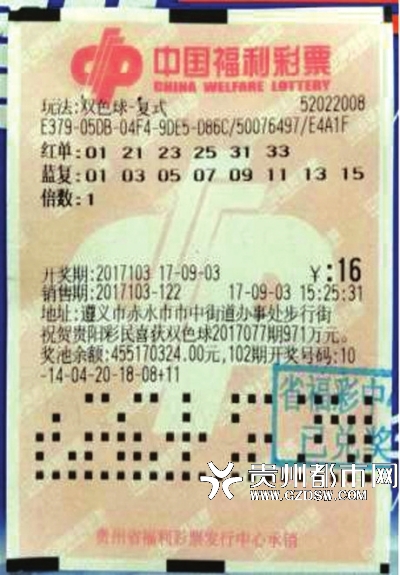 双色球2010125期开奖结果查询，揭秘彩票背后的故事