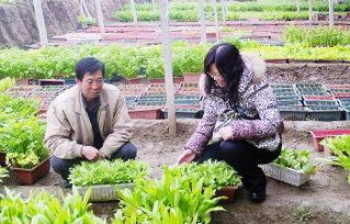 探索118开奖现场直播的魅力，直播下载全攻略