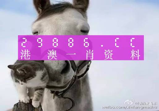 澳门2023年一肖一码准确预测——揭秘未来幸运之星