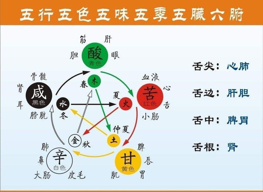 排五走势图综合版，洞悉数字背后的奥秘