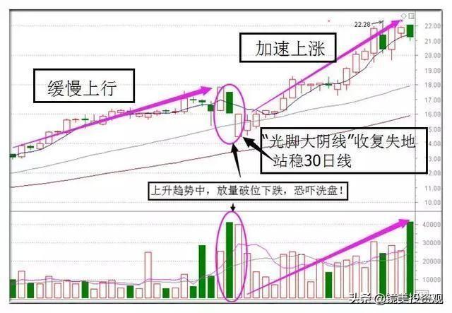 探索3D十位振幅走势图值的奥秘