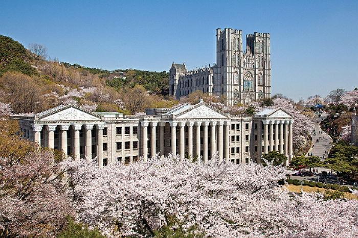 天天彩选四开奖，探索彩票的魅力与期待