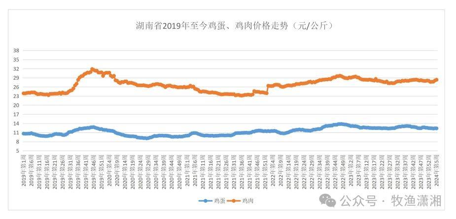 湖南动物开奖走势图，探索与解读
