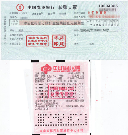 揭秘2019年双色球视频第4期，彩票背后的故事与启示
