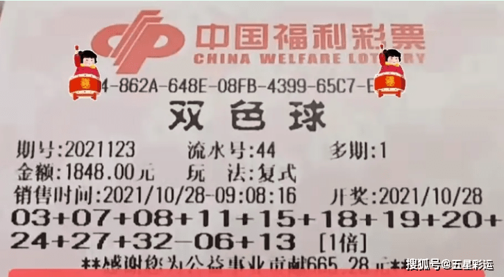 期待与惊喜的交融