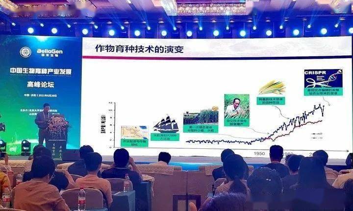福彩3D缩水条件胆码研究与应用