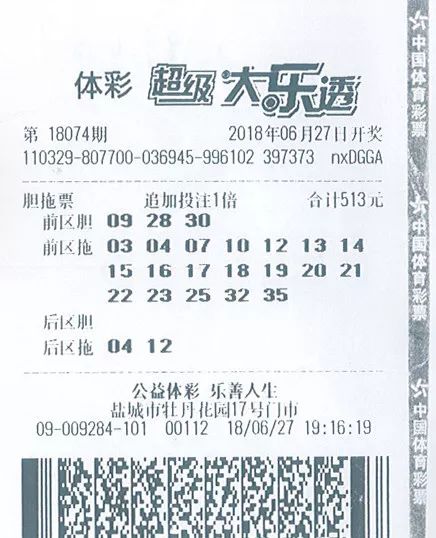 大乐透基本走势图表图全图，揭示彩票背后的数据与策略