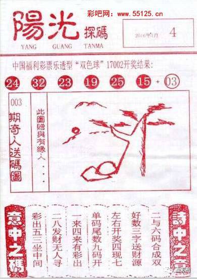 双色球彩民乐阳光探码汇总，揭秘彩票背后的故事