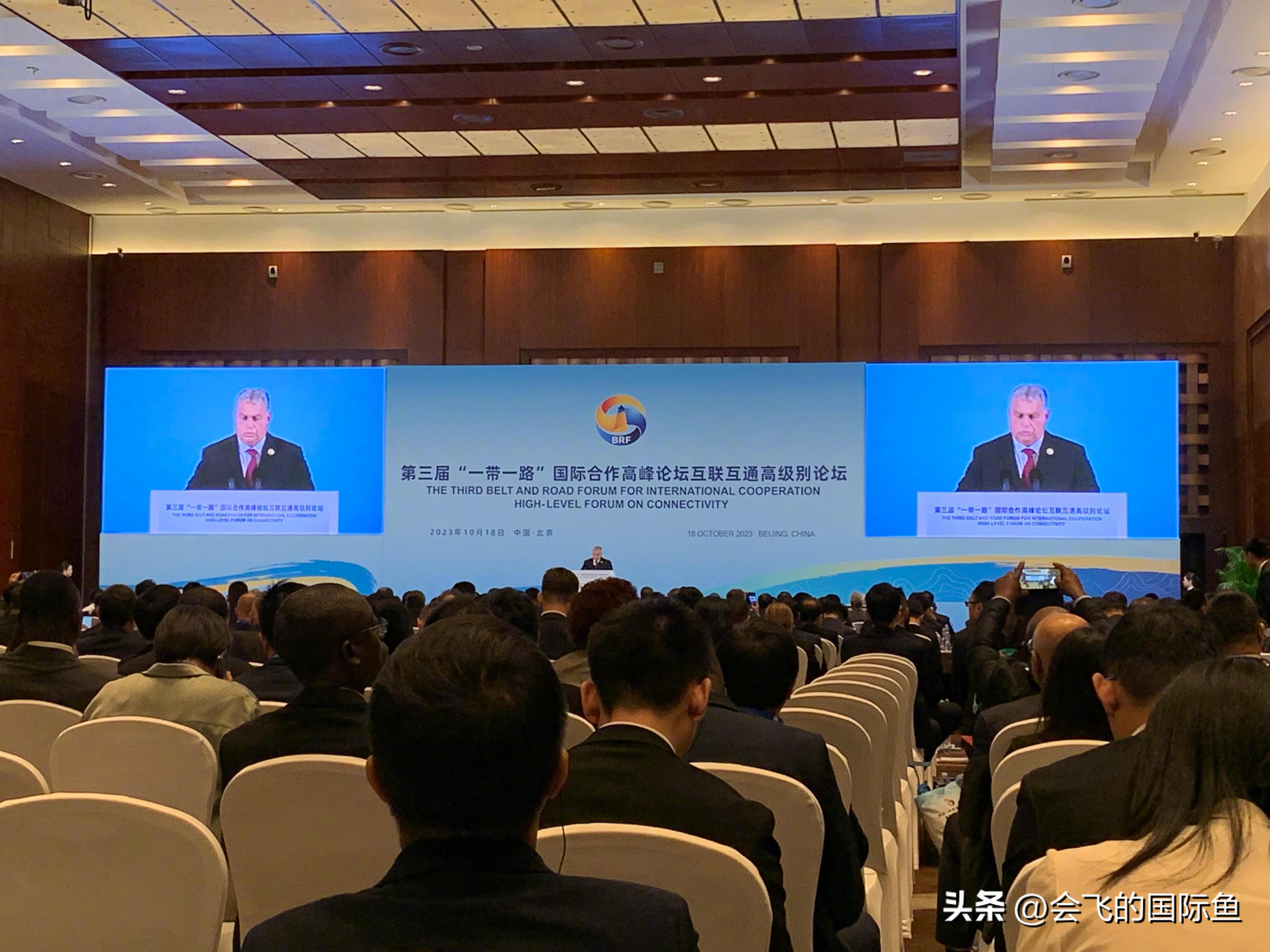 探索体彩排列三论坛，一个数字游戏的世界