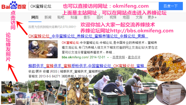南方双彩论坛网，探索、交流、共成长
