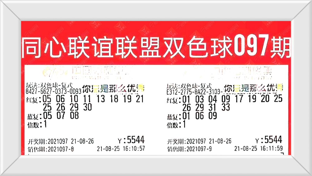双色球开奖号结果第97期，揭秘幸运背后的秘密