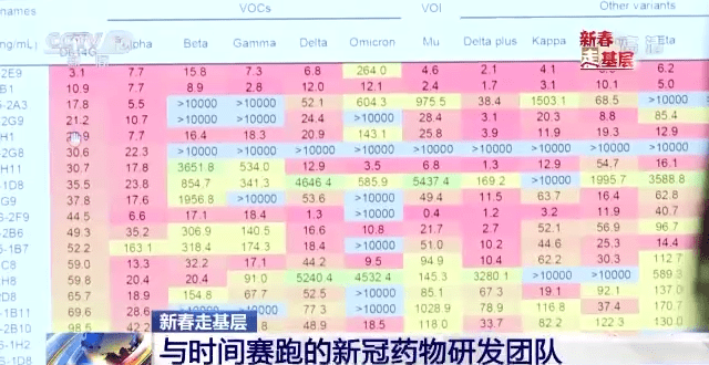 双色球摇奖器模拟器的奥秘与探索