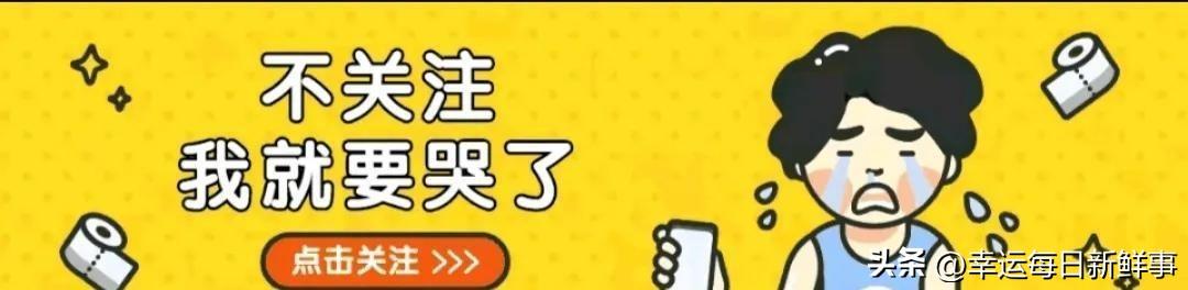 双色球第200期最新走势图分析与预测