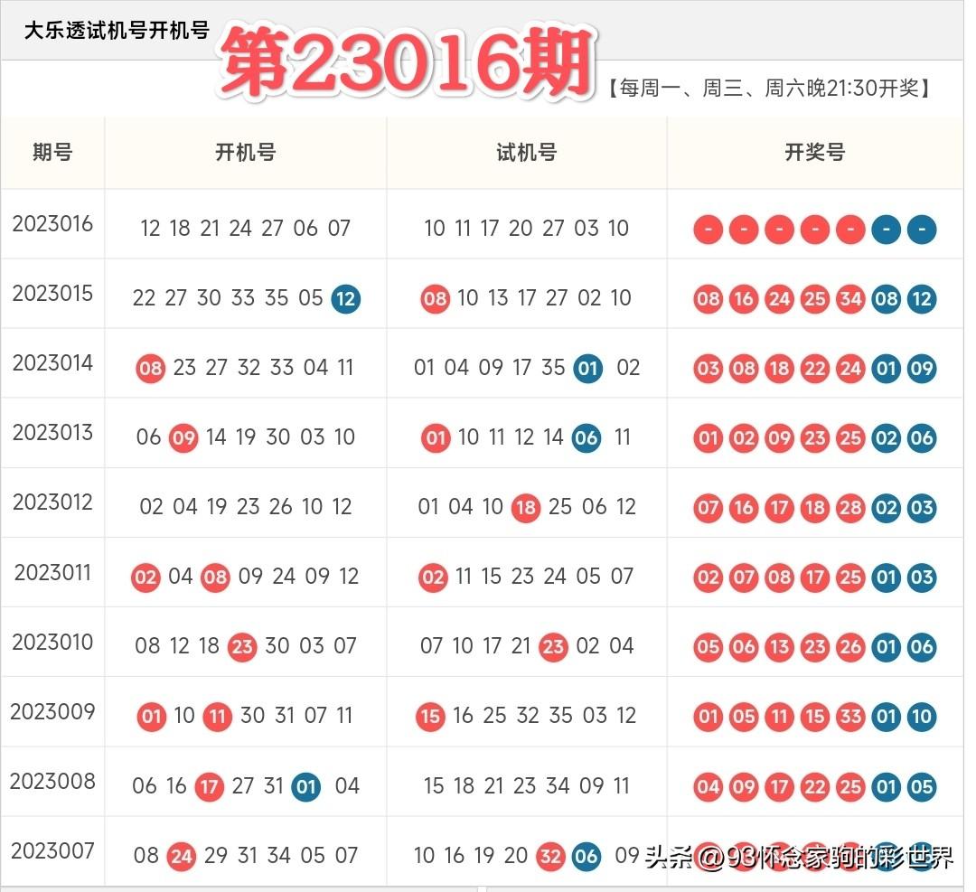 体育彩票大乐透开机试机号，探索背后的神秘与魅力