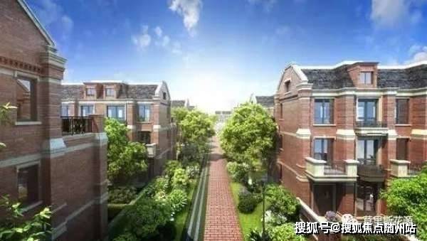 双色球下期预测最新分析与探讨