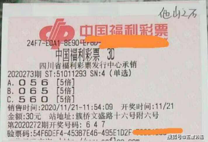彩票开奖查询结果表