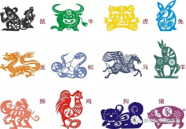 十二生肖码正规网站，探索中国传统文化的数字奥秘
