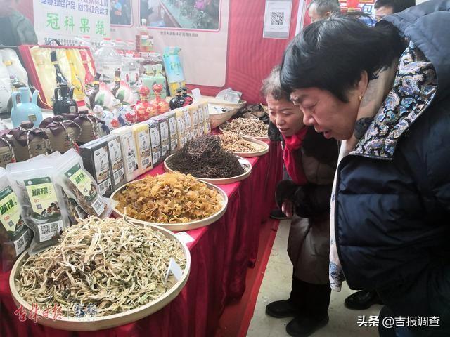 吉林省快三，速度与激情的盛宴