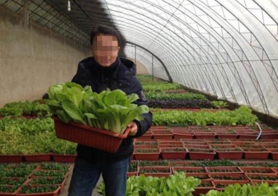 揭秘彩票背后的秘密，两元一注买十倍究竟能中多少？