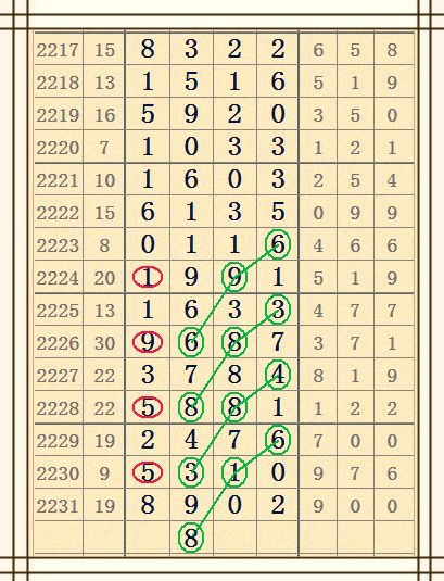 七星彩开奖结果最新查询，揭秘彩票背后的故事