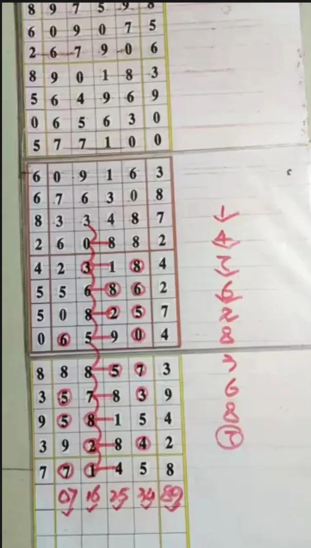 探索体彩带坐标连线走势图的奥秘