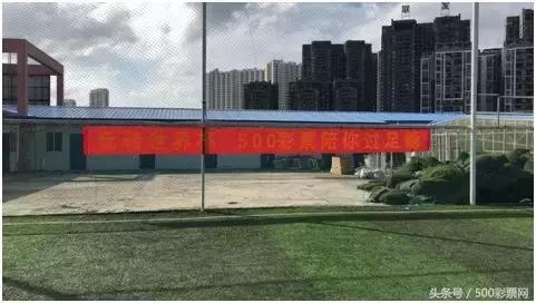 彩吧福彩3D汇总，探索数字彩票的魅力与策略