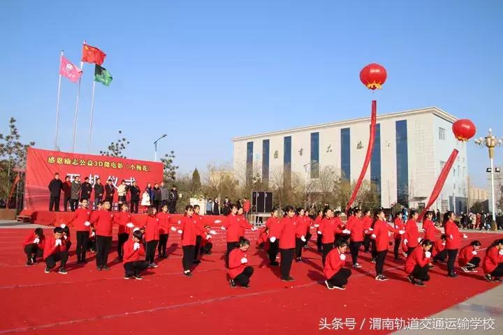 揭秘今日3D开机号与试机号，探索未知的数字奥秘