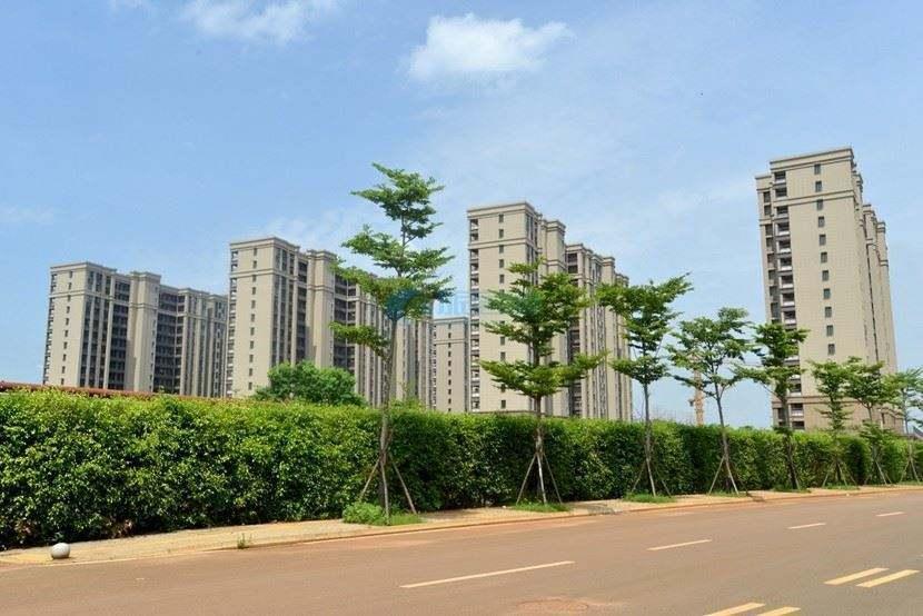 双色球 第6页