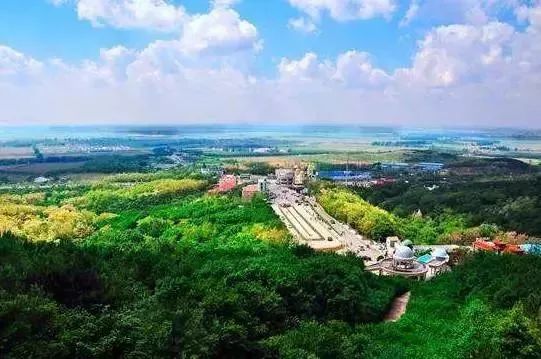 浙江超长版风采，从29选7中探寻独特魅力