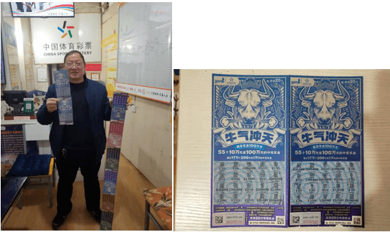 探索中彩网与彩经网，揭秘3D试机号的世界